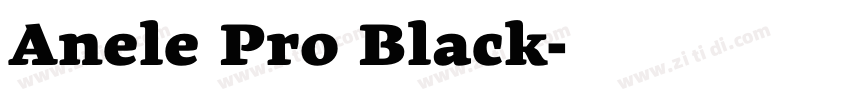 Anele Pro Black字体转换